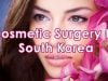 Best Cosmetic Surgery In South Korea