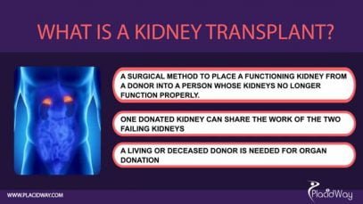 Kidney Transplant in Europe