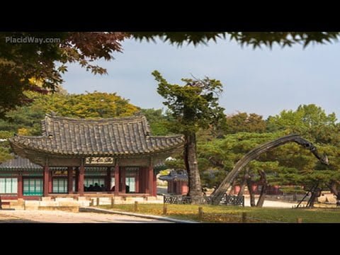 Medical Tourism in South Korea - Low Cost Health Care Travel