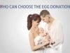 Egg Donation options in Europe | PlacidWay