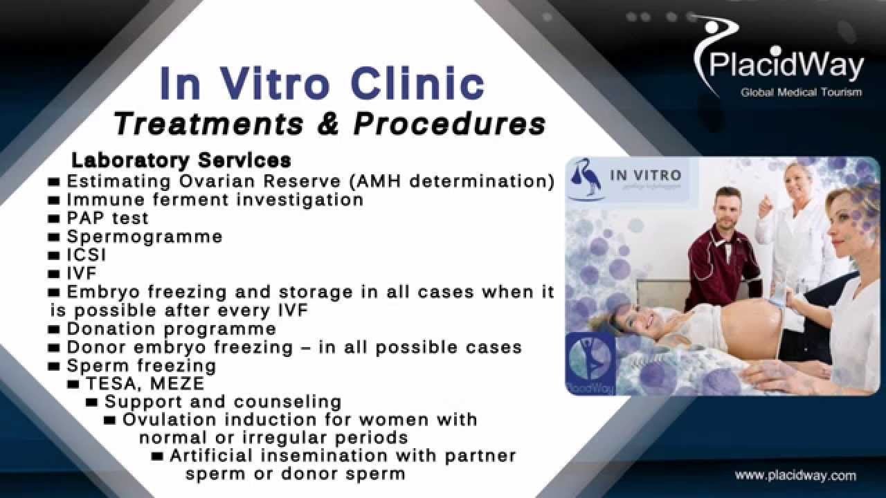 In Vitro Fertility Clinic Georgia: Best Surrogacy Program and IVF ...