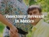 Brief Understanding of Vasectomy Reversal in Mexico