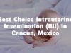 Best Choice Intrauterine Insemination (IUI) in Cancun, Mexico