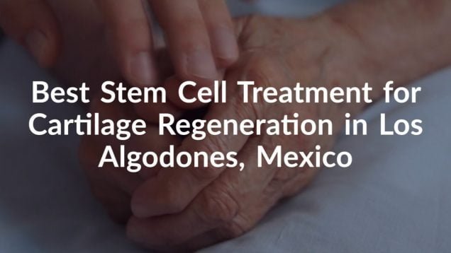 Best Stem Cell Treatment for Cartilage Regeneration in Los Algodones, Mexico