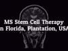 Things to Know about MS Stem Cell Therapy in Florida, Plantation, USA