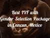 Best IVF With Gender Selection Package in Cancun, Mexico