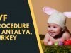 Top IVF Procedure in Antalya, Turkey