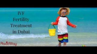 IVF Treatment in Dubai High Quality In-Vitro Fertilization
